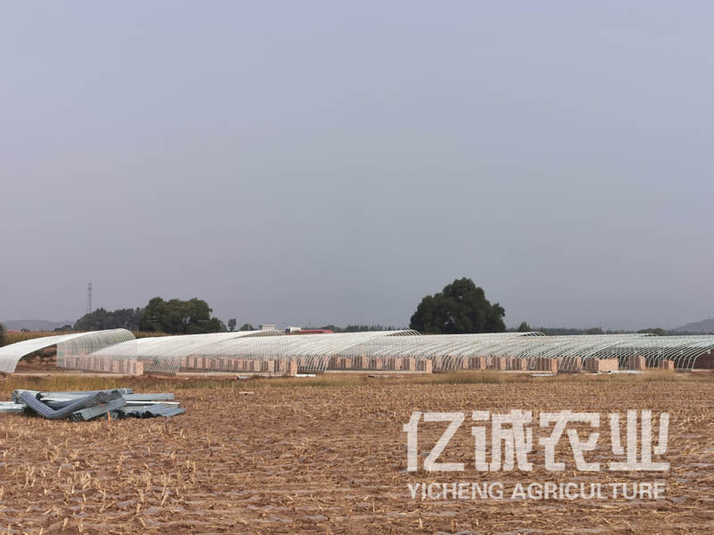 一畝溫室大棚造價多少錢？溫室建設成本