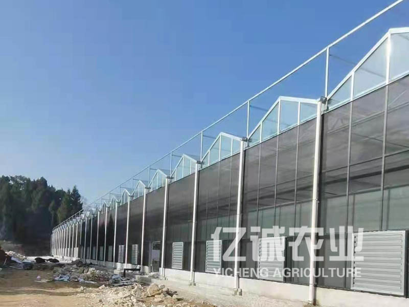 建溫室大棚需要多少錢？連棟溫室工程造價(jià)