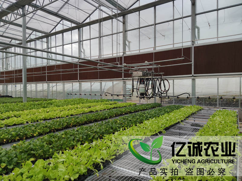 現(xiàn)代化智能溫室大棚如何建造？智能化連棟溫室大棚多少錢(qián)一個(gè)平方？