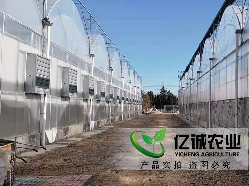 玻璃和薄膜連棟溫室大棚在種植蔬菜前對(duì)土壤有要求嗎？