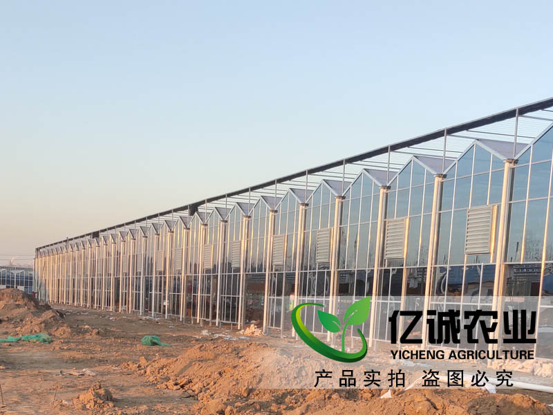 建一畝地溫室大棚多錢？用什么材料比較好？