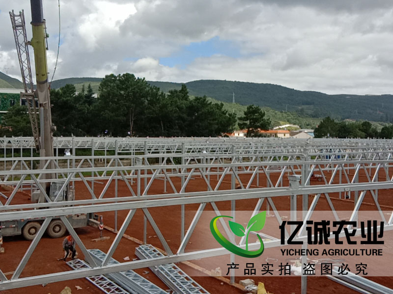青州玻璃溫室大棚哪家建的比較專業(yè)？性價(jià)比高？