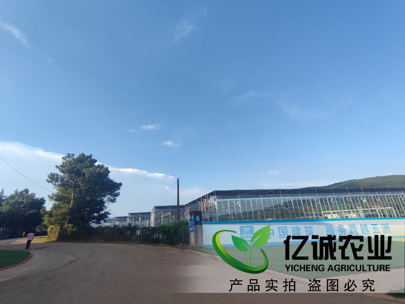 什么樣的溫室大棚可以改造為智能溫室？智能溫室玻璃大棚工程優(yōu)勢