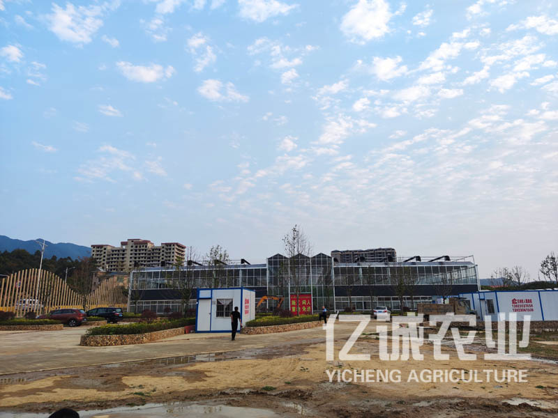 現(xiàn)代化連棟溫室大棚建設(shè)有補(bǔ)貼嗎？連溫室大棚造價(jià)多少一畝